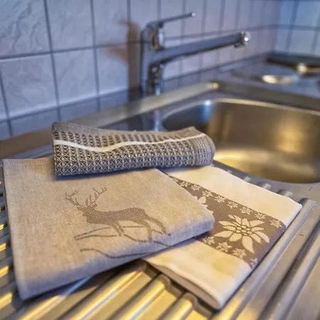 Апартаменты Chasa Gisep