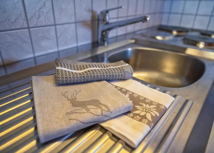 Apartment Chasa Gisep